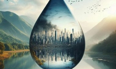 Diffen de Brasilia lança novo single "Up To You"